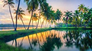 Attractions in Kerala India Backwaters