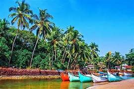 Goa Beyond Beaches island hopping and mangrove tours