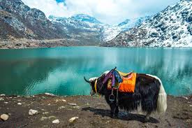 Best Time to Visit Sikkim Scenic View