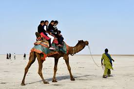 Desert Adventures of Gujarat – Rann of Kutch view under moonlight