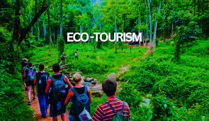 Eco Tourism in India 2025 sustainable destinations