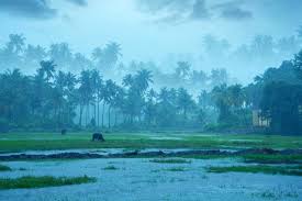 Monsoon destinations in India 2025 travel