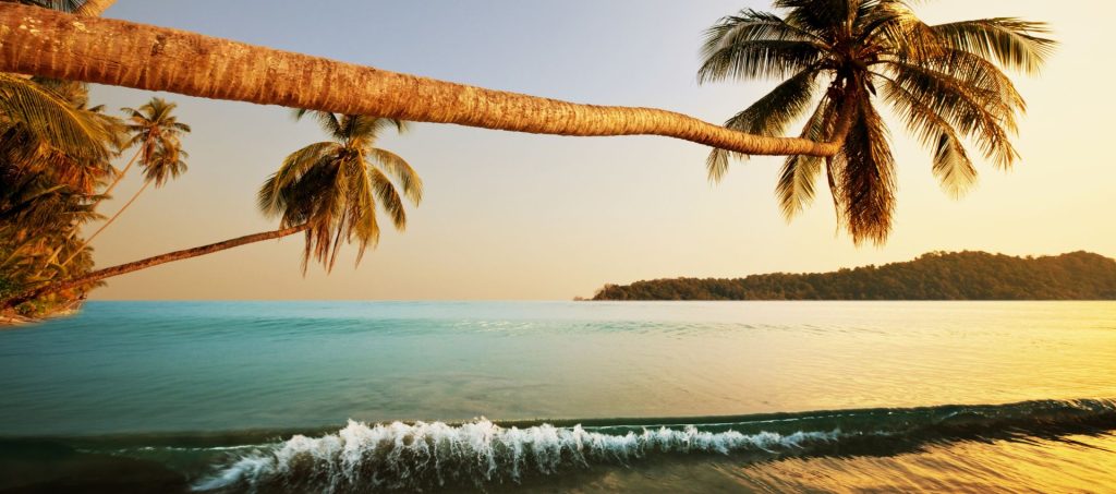 untouched island trails of India – tropical island coastline